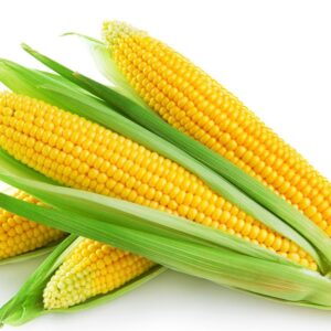 玉米-umshare聯合分享網